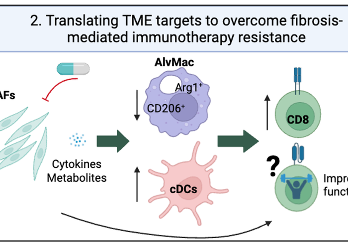 Translational Immunotherapy